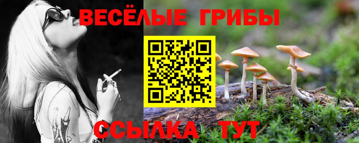 Псилоцибиновые грибы Psilocybine cubensis Самара